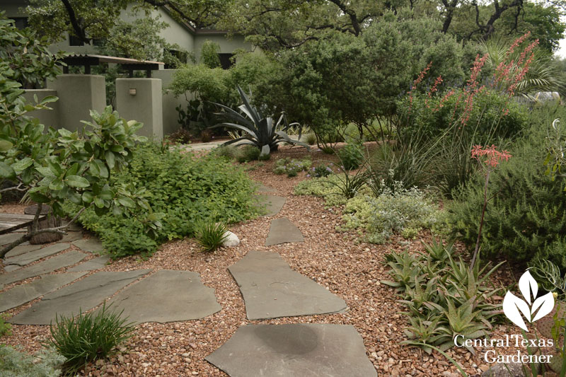 front yard drought garden Central Texas Gardener