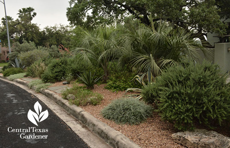 front yard drought garden Central Texas Gardener