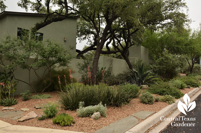 front yard drought garden Central Texas Gardener