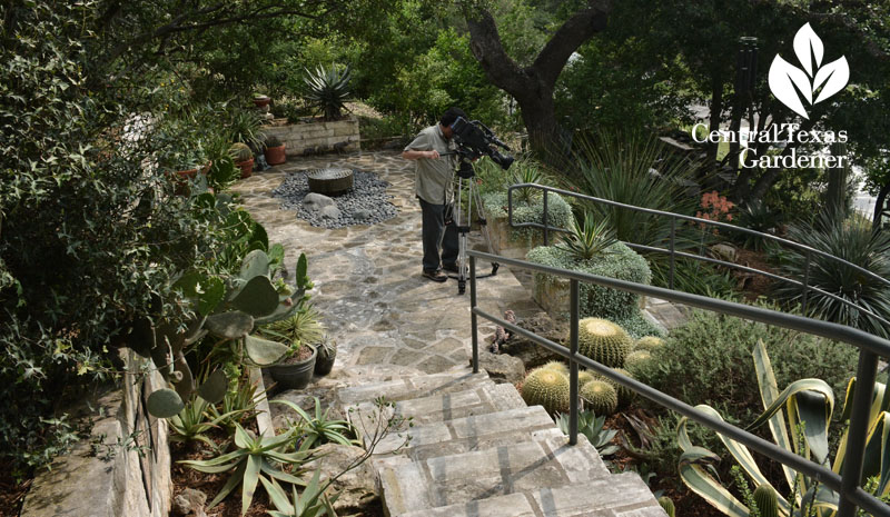 Stone patio Pavlat Central Texas Gardener