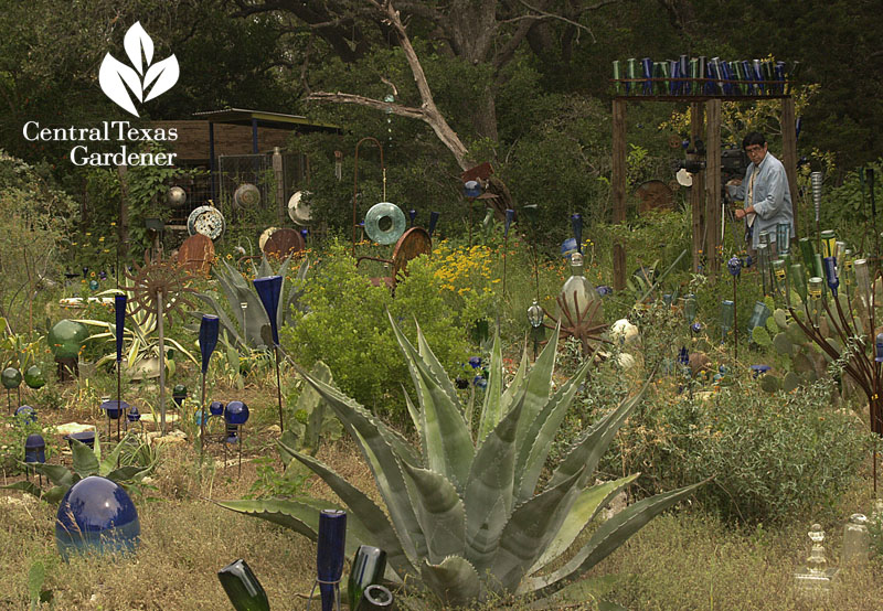 bottle tree world healing garden Central Texas Gardener