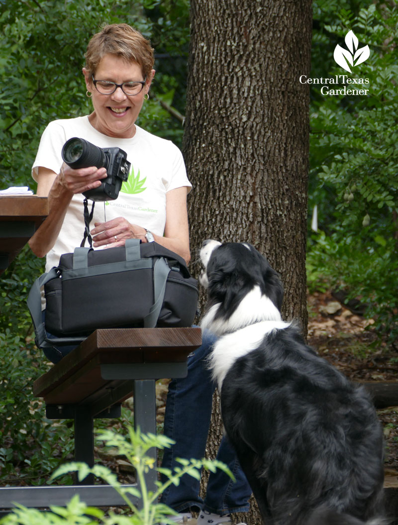 Linda Lehmusvirta Slow Turtle vineyard Central Texas Gardener