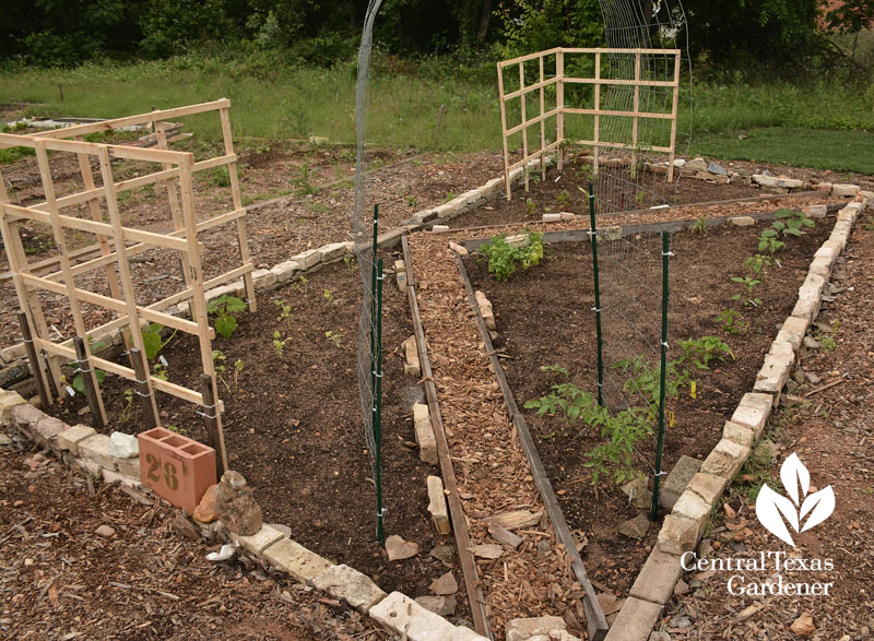 community garden trellis beds Central Texas Gardener