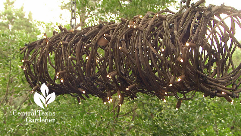 grape vine outdoor tube lights Central Texas Gardener