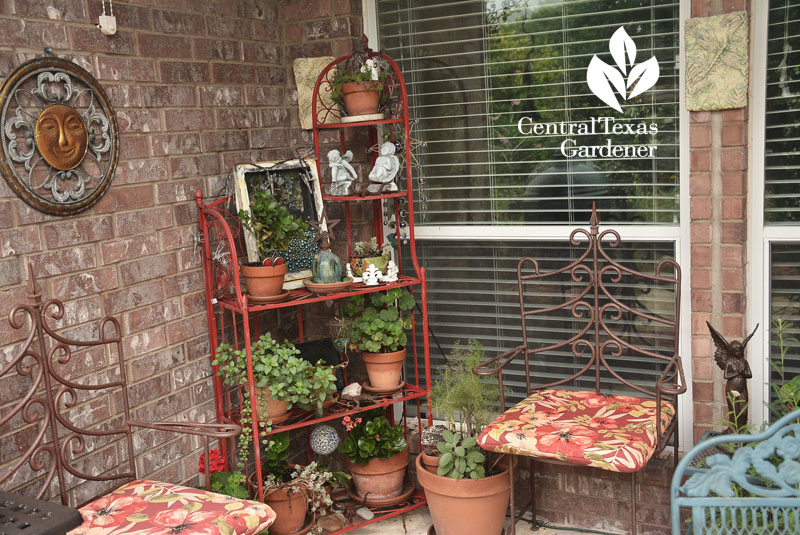 patio containers Central Texas Gardener