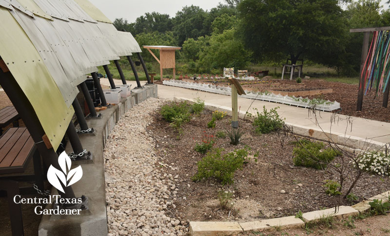 rain garden Sustainable Food Center Central Texas Gardener