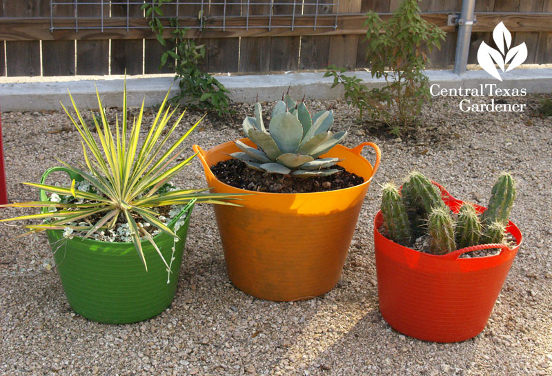 trug container gardens Central Texas Gardener