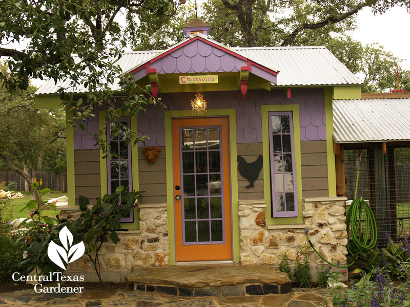 cute Chicksville chicken coop Central Texas Gardener