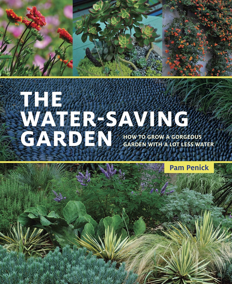 The Water-Saving Garden Central Texas Gardener