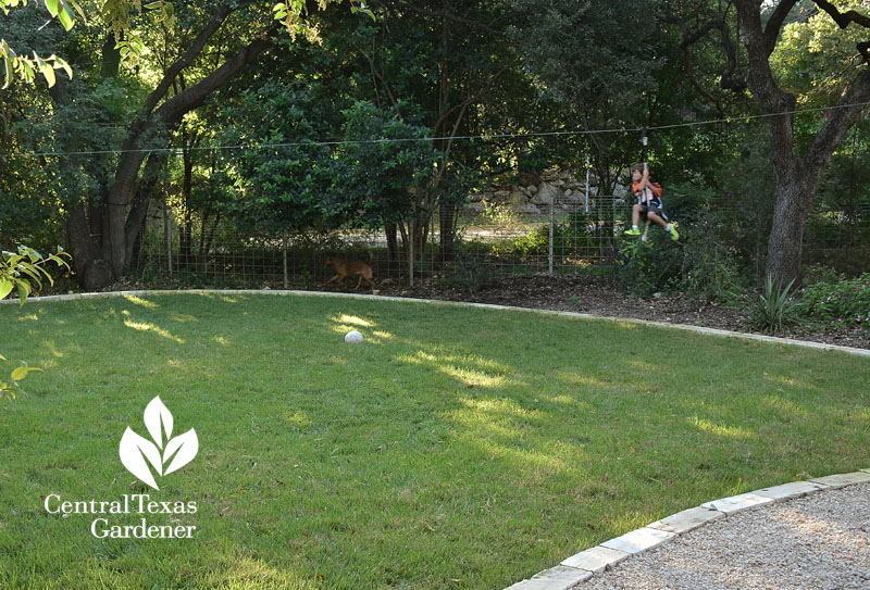 backyard zipline Central Texas Gardener