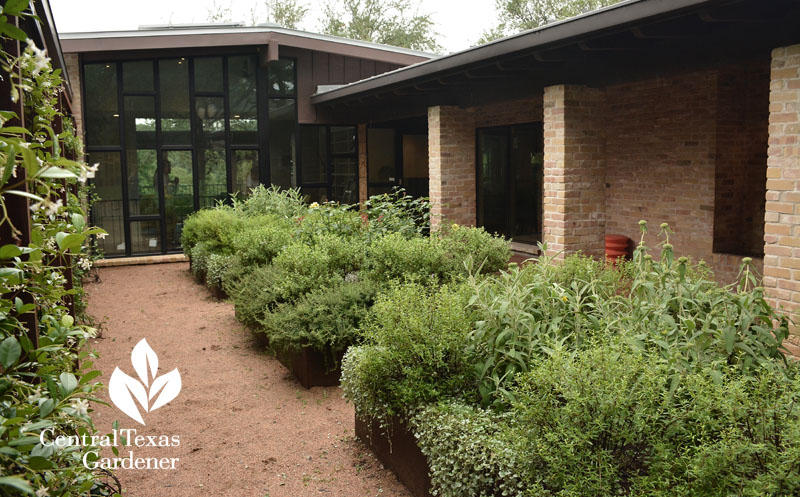 courtyard garden house view Central Texas Gardener