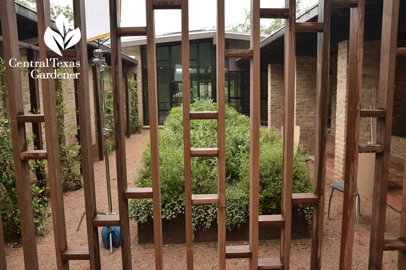 courtyard gates Central Texas Gardener