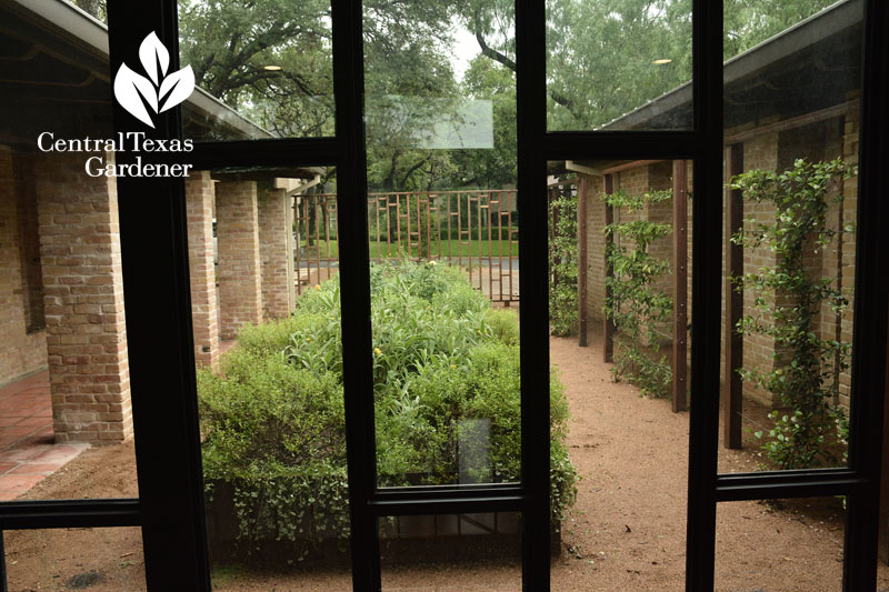 courtyard view from inside Central Texas Gardener