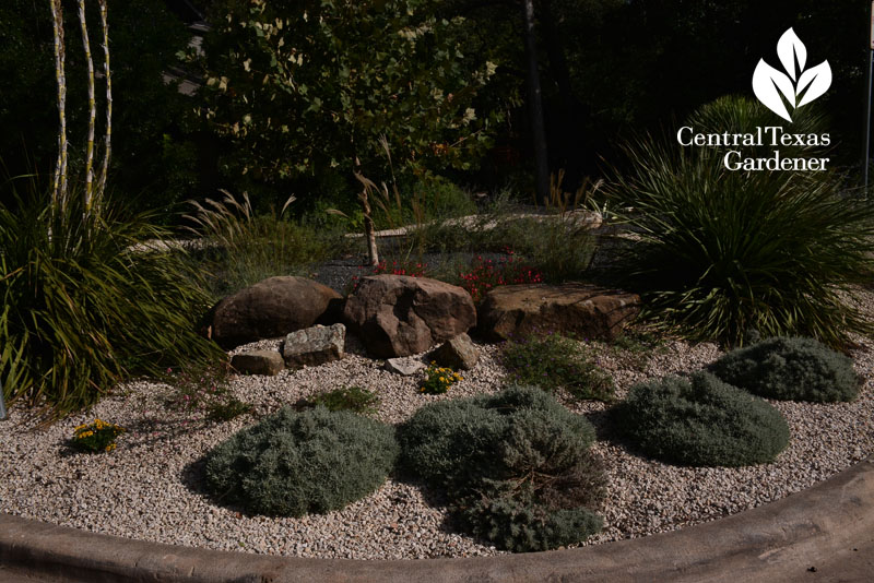 curb bed no lawn wildlife xeric design Central Texas Gardener