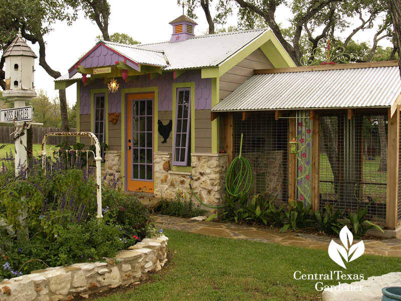 cute Chicksville chicken coop Central Texas Gardener