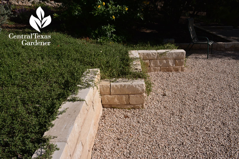 frogfruit limestone raised beds patio Central Texas Gardener