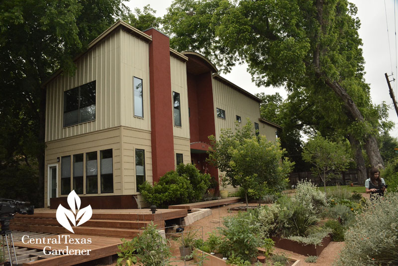 green build house and no lawn courtyard Central Texas Gardener