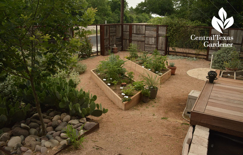 no lawn courtyard food, outdoor living Central Texas Gardener