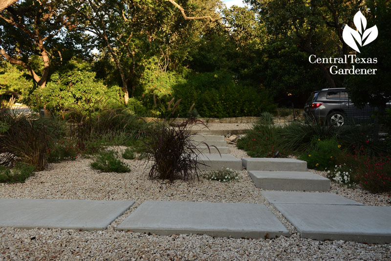 no lawn front yard pathway wildlife plants Central Texas Gardener