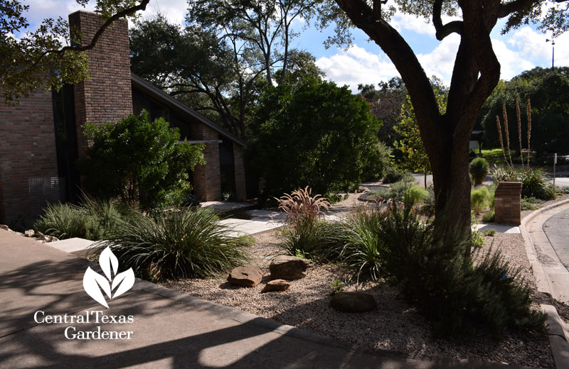 no lawn front yard water control Central Texas Gardener