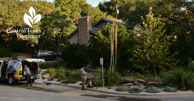 no lawn front yard xeric wildlife design Central Texas Gardener