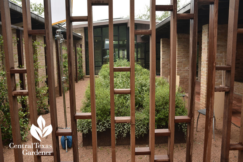 tiny courtyard garden microclimate Central Texas Gardener