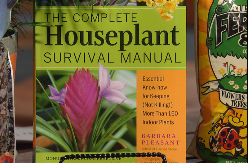 Barbara Pleasant Houseplant Survival Central Texas Gardener