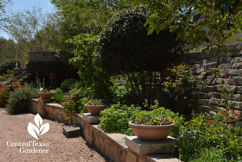 Festival Hill garden raised beds