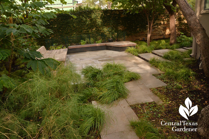 benches berkeley sedge patio Central Texas Gardener