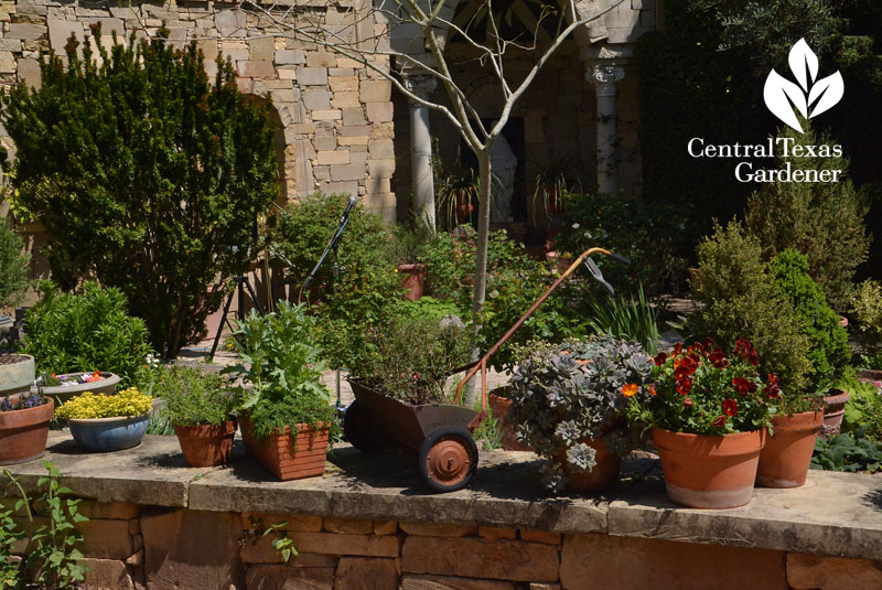 cute pots Festival HIll Round Top Central Texas Gardener