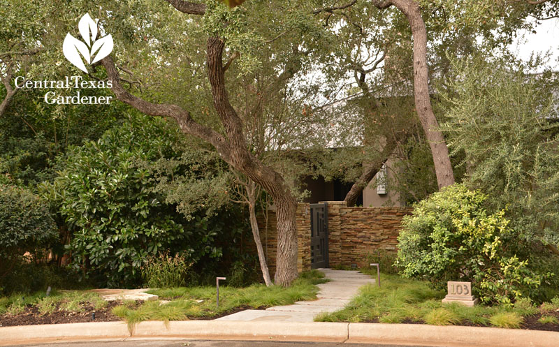 shady courtyard garden front yard Central Texas Gardener