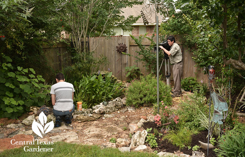 Lisa LaPaso pond Central Texas Gardener