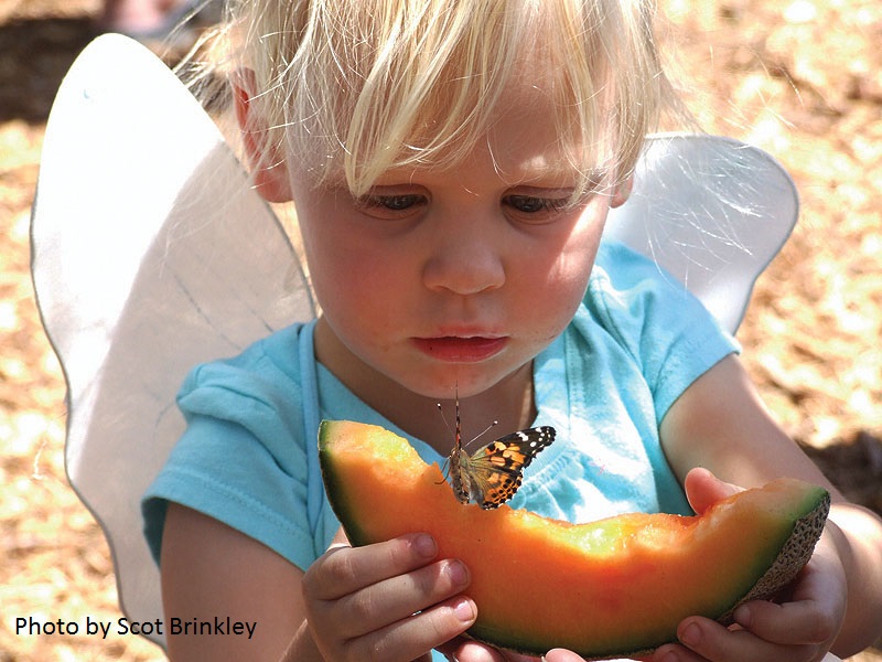Wimberley Butterfly Festival kids Central Texas Gardener