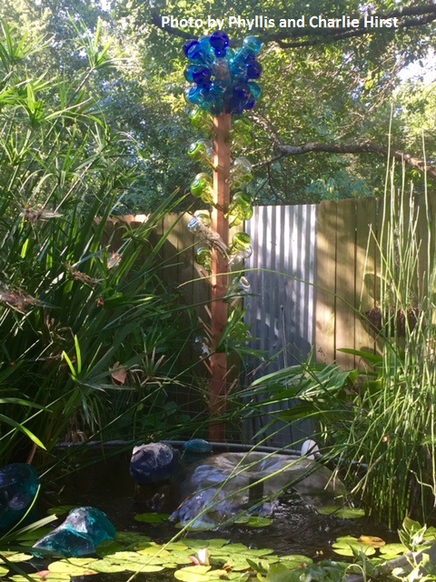 bottle tree Hirst Central Texas Gardener