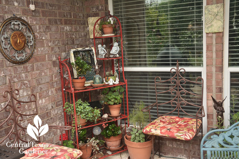 colorful patio Lisa LaPaso design Central Texas Gardener