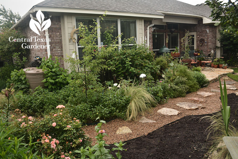 path to patio Central Texas Gardener