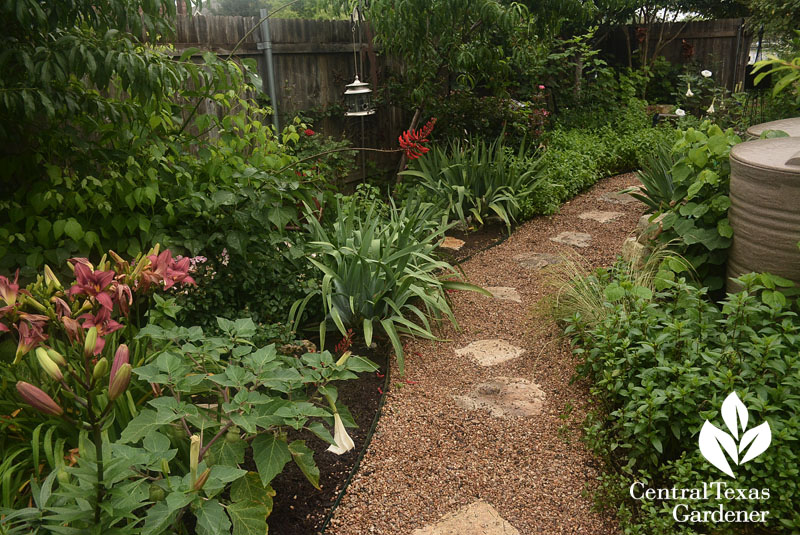 pathway designreduced lawn garden flowers and food Central Texas Gardener