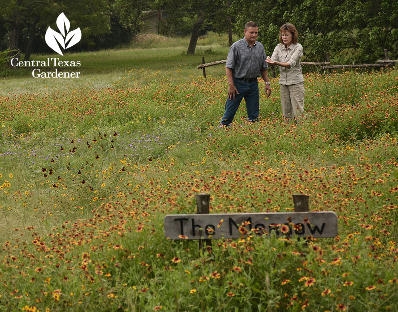 wildflower pocket meadow Sheryl Smith Rodgers James Hearn Central Texas Gardener