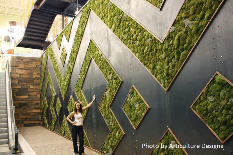 Articulture Whole Foods living wall Central Texas Gardener