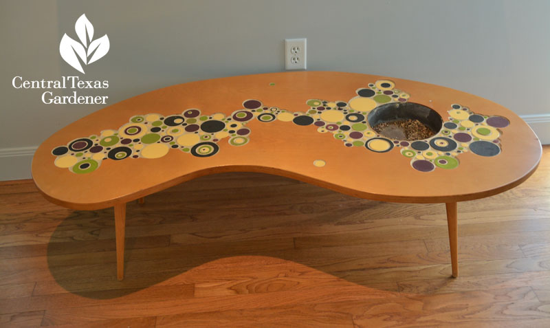 Articulture mosaic coffee table Central Texas Gardener