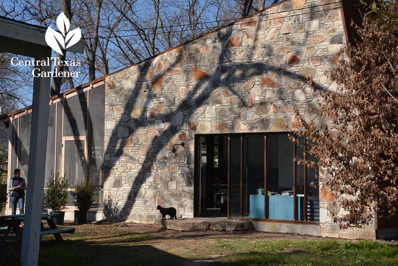 Mel Lawrence office design Casey Boyter Central Texas Gardener