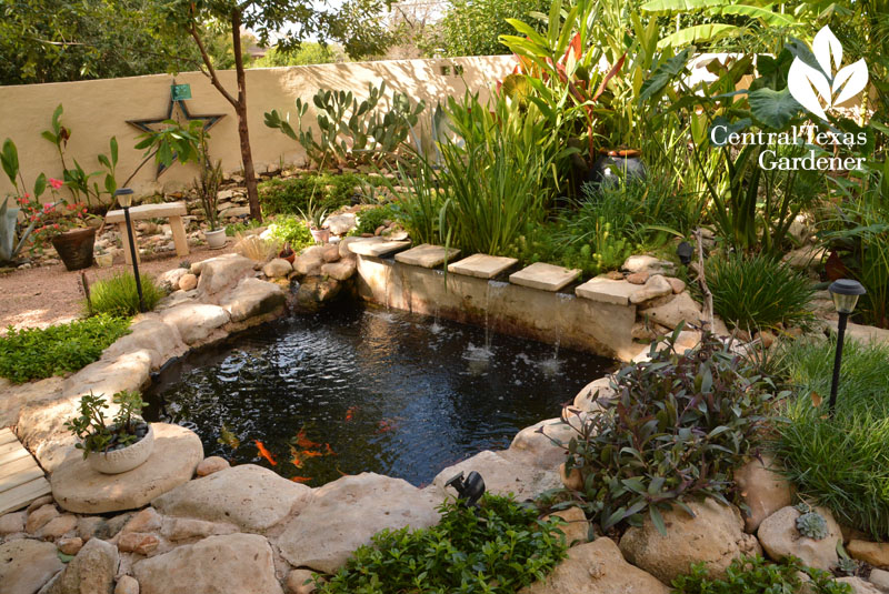 beautiful pond design Central Texas Gardener