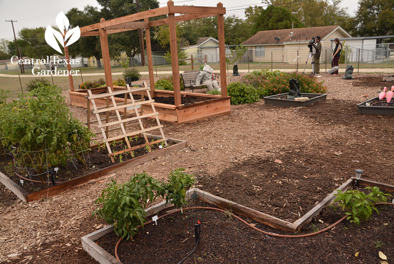 Fort Hood community garden Central Texas Gardener