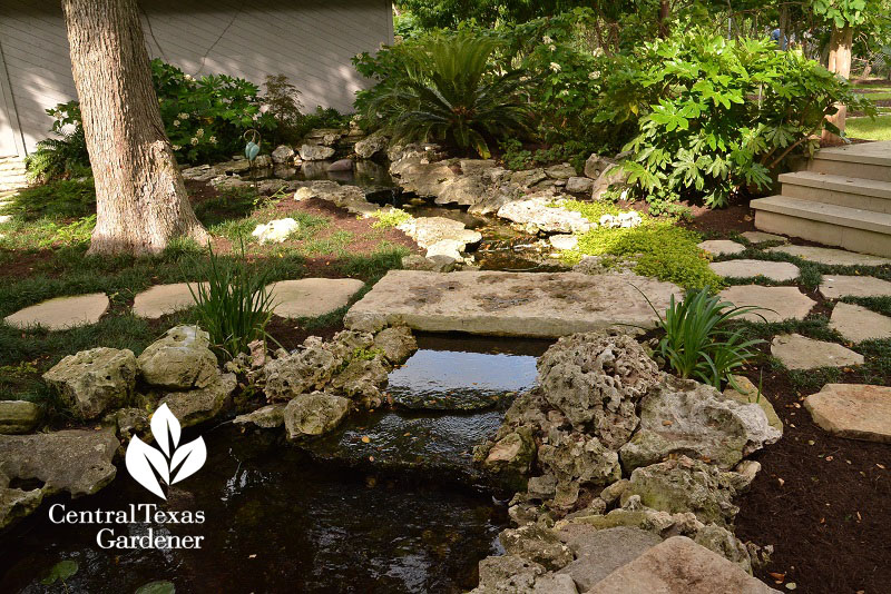 front yard pond and stream Central Texas Gardener