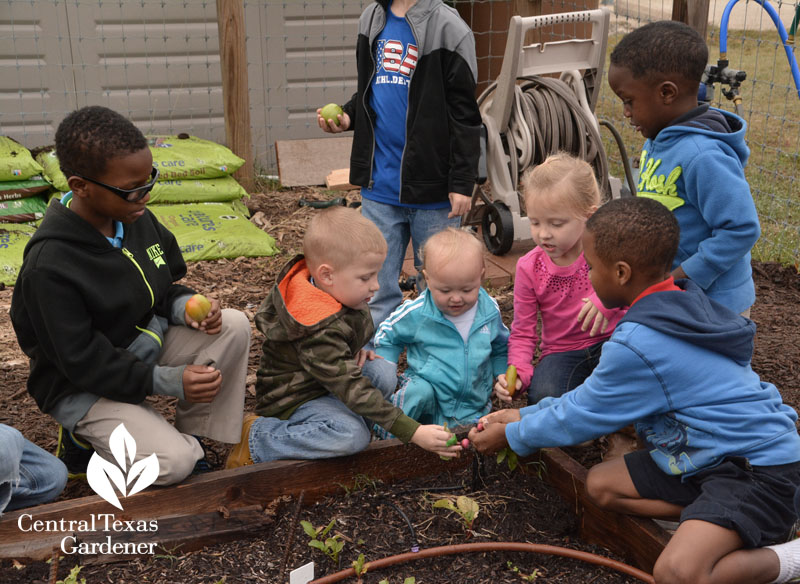 cute kids at Fort Hood community garden Central Texas Gardener