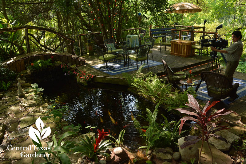 Gorgeous backyard pond Central Texas Gardener