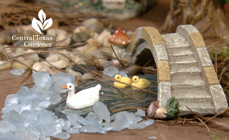 Fairy garden duck pond Central Texas Gardener