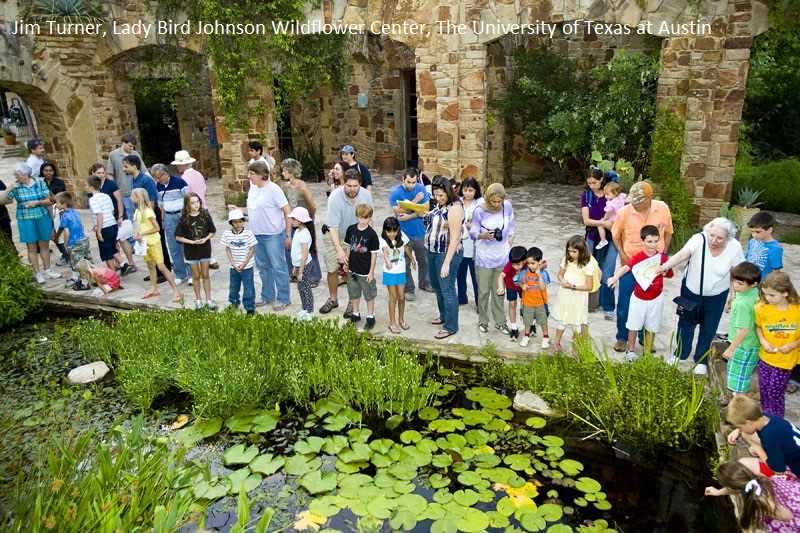 Lady Bird Johnson Wildflower Center