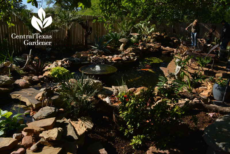 backyard patio and pond no lawn Central Texas Gardener