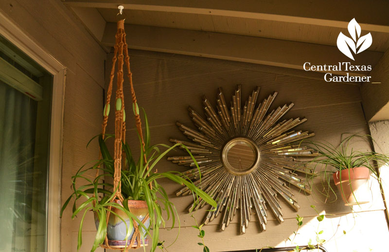 Balcony garden art with gold Central Texas Gardener